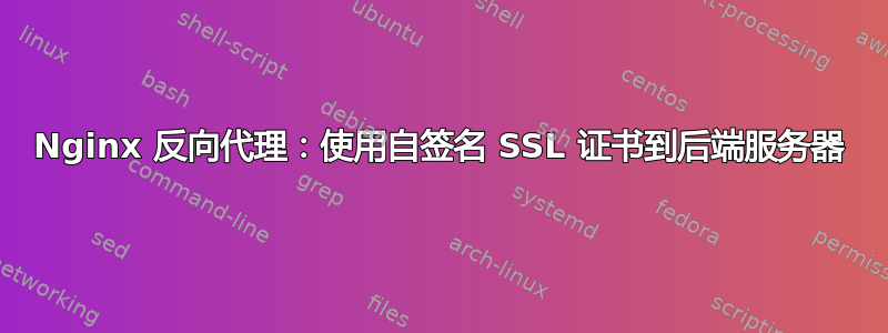 Nginx 反向代理：使用自签名 SSL 证书到后端服务器