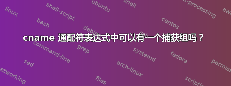 cname 通配符表达式中可以有一个捕获组吗？