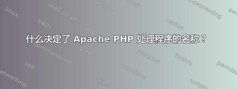 什么决定了 Apache PHP 处理程序的名称？