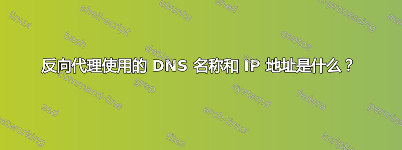 反向代理使用的 DNS 名称和 IP 地址是什么？