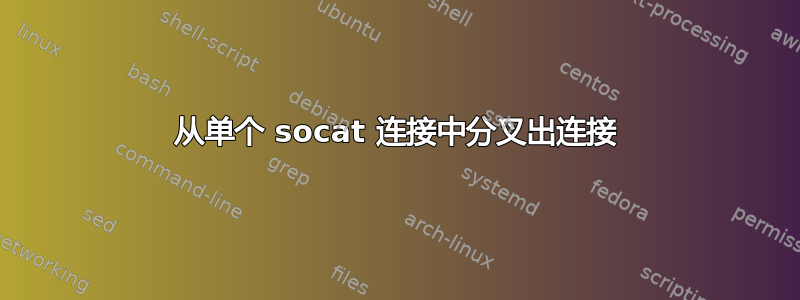 从单个 socat 连接中分叉出连接