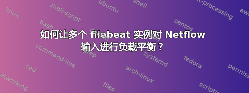 如何让多个 filebeat 实例对 Netflow 输入进行负载平衡？