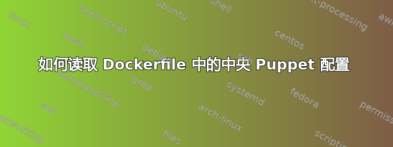 如何读取 Dockerfile 中的中央 Puppet 配置