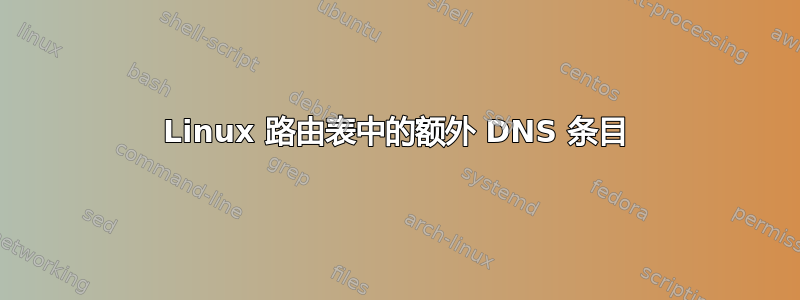 Linux 路由表中的额外 DNS 条目