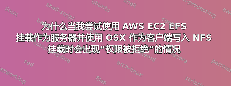 为什么当我尝试使用 AWS EC2 EFS 挂载作为服务器并使用 OSX 作为客户端写入 NFS 挂载时会出现“权限被拒绝”的情况