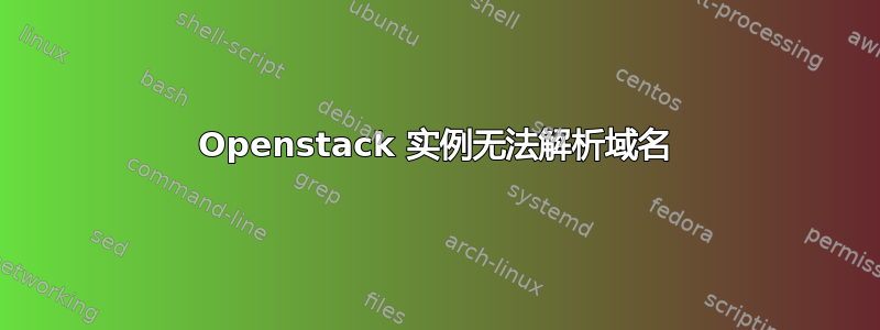 Openstack 实例无法解析域名