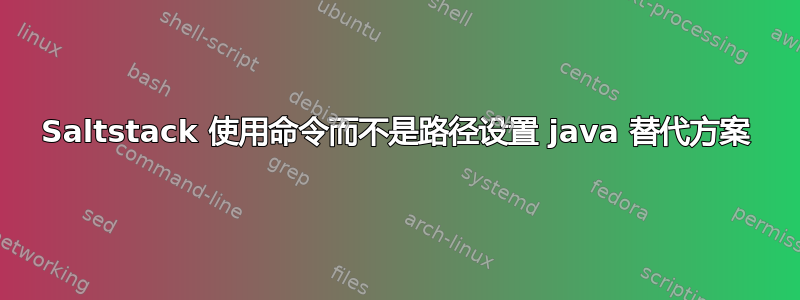 Saltstack 使用命令而不是路径设置 java 替代方案