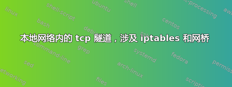 本地网络内的 tcp 隧道，涉及 iptables 和网桥