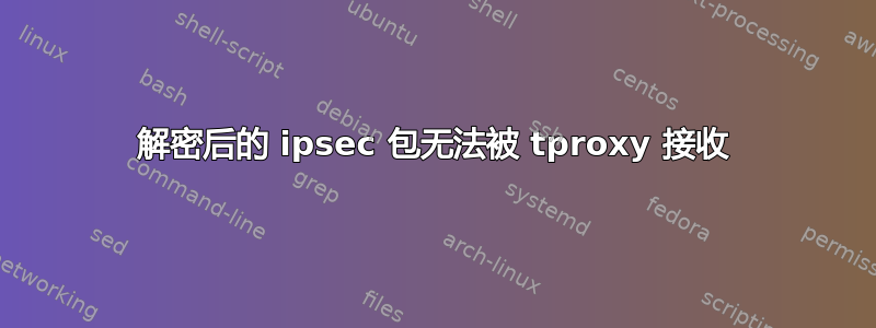 解密后的 ipsec 包无法被 tproxy 接收