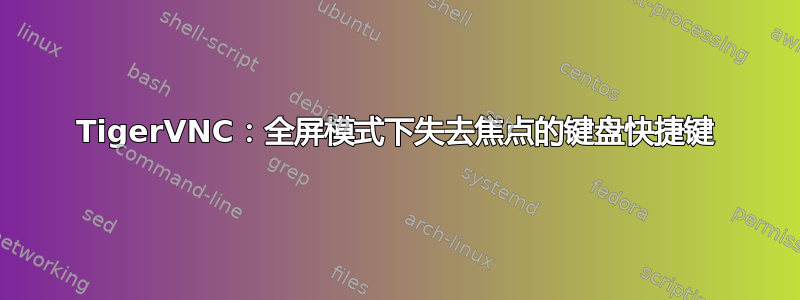 TigerVNC：全屏模式下失去焦点的键盘快捷键