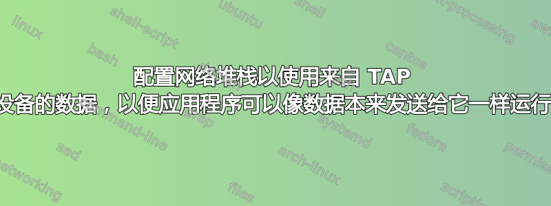 配置网络堆栈以使用来自 TAP 设备的数据，以便应用程序可以像数据本来发送给它一样运行