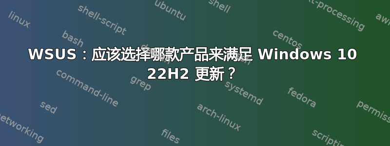 WSUS：应该选择哪款产品来满足 Windows 10 22H2 更新？