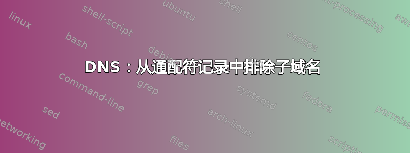 DNS：从通配符记录中排除子域名