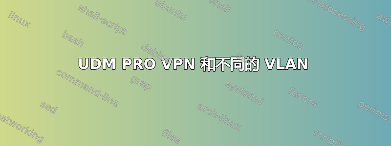 UDM PRO VPN 和不同的 VLAN