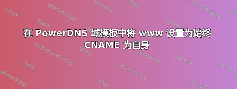 在 PowerDNS 域模板中将 www 设置为始终 CNAME 为自身