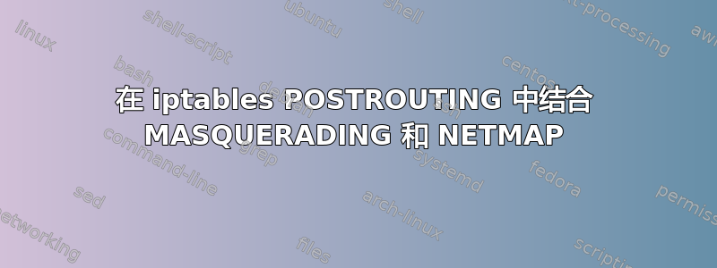 在 iptables POSTROUTING 中结合 MASQUERADING 和 NETMAP