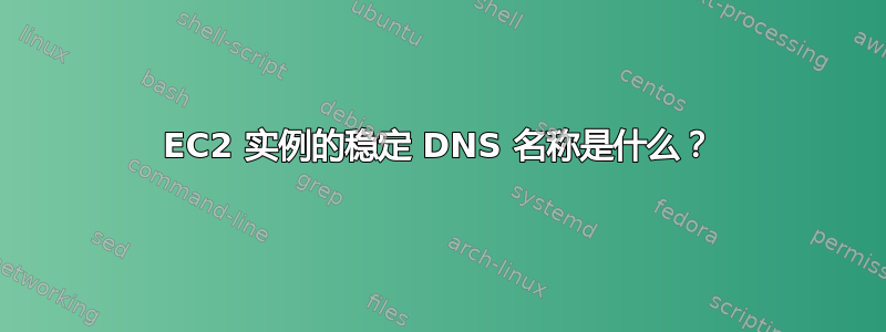 EC2 实例的稳定 DNS 名称是什么？