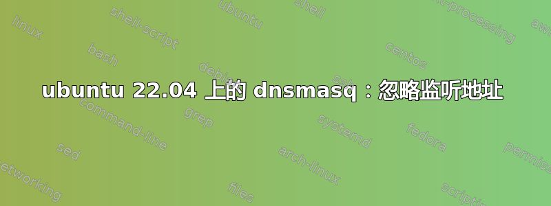 ubuntu 22.04 上的 dnsmasq：忽略监听地址