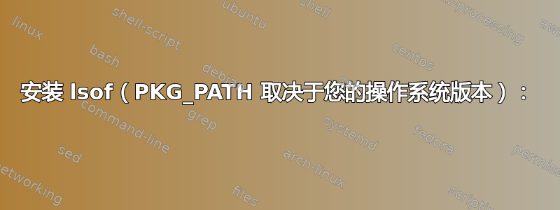 安装 lsof（PKG_PATH 取决于您的操作系统版本）：