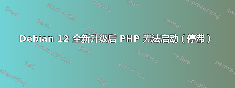 Debian 12 全新升级后 PHP 无法启动（停滞）