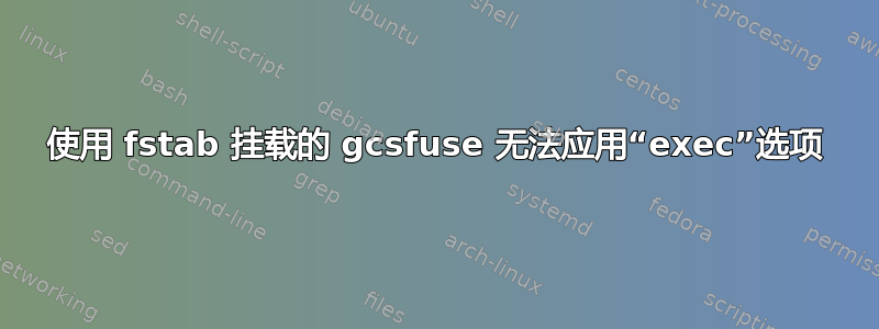 使用 fstab 挂载的 gcsfuse 无法应用“exec”选项