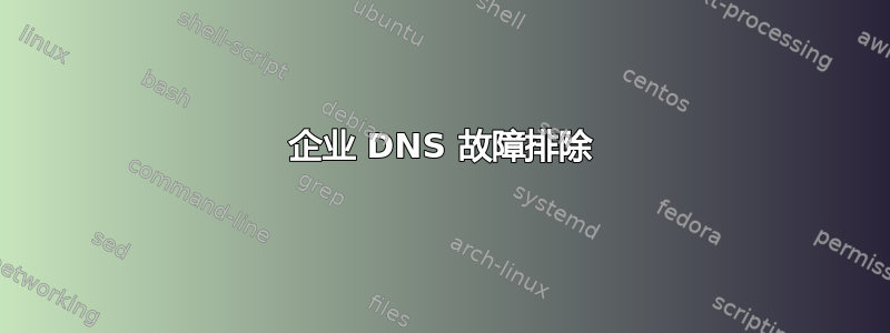 企业 DNS 故障排除