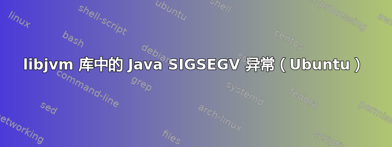 libjvm 库中的 Java SIGSEGV 异常（Ubuntu）