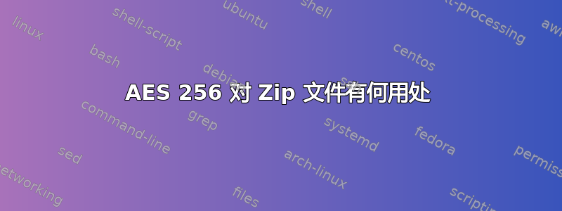 AES 256 对 Zip 文件有何用处