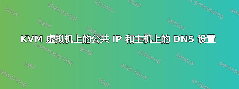 KVM 虚拟机上的公共 IP 和主机上的 DNS 设置