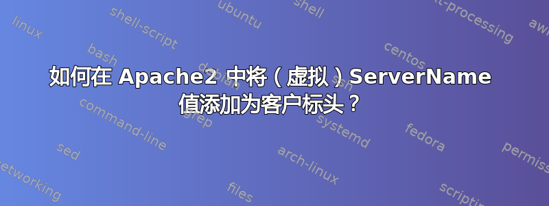 如何在 Apache2 中将（虚拟）ServerName 值添加为客户标头？