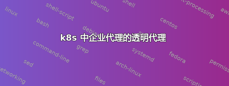 k8s 中企业代理的透明代理