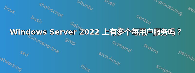 Windows Server 2022 上有多个每用户服务吗？