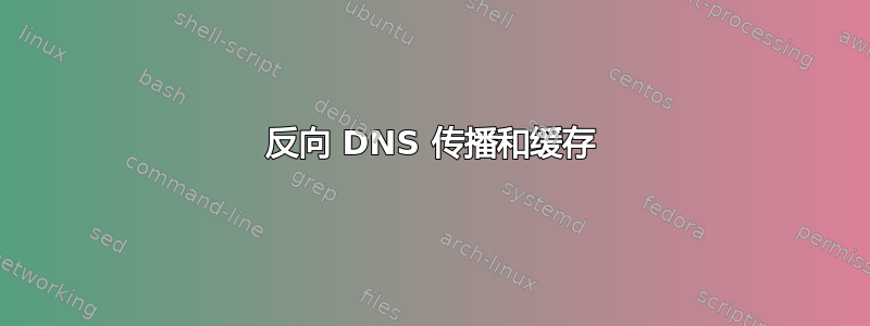 反向 DNS 传播和缓存