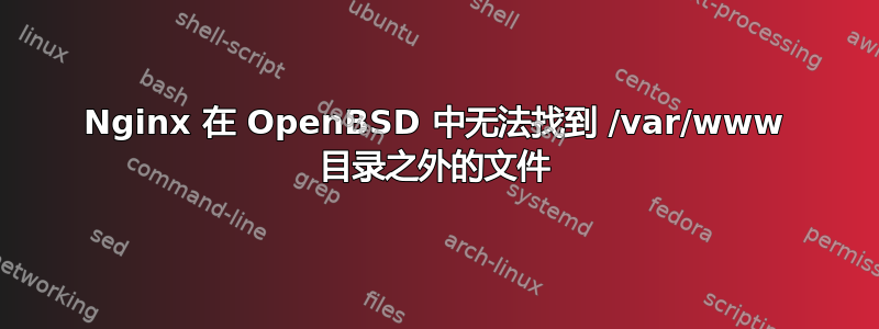 Nginx 在 OpenBSD 中无法找到 /var/www 目录之外的文件