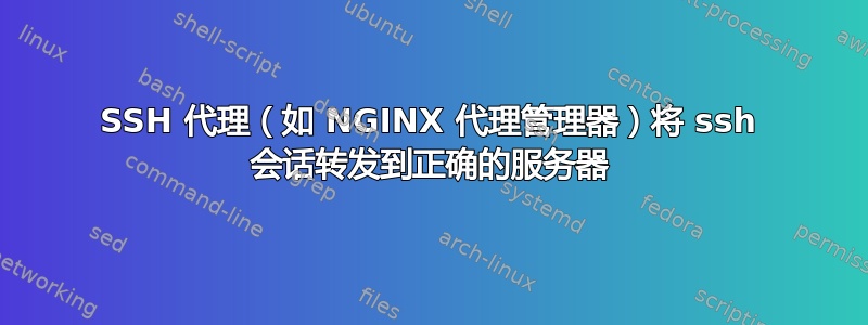 SSH 代理（如 NGINX 代理管理器）将 ssh 会话转发到正确的服务器