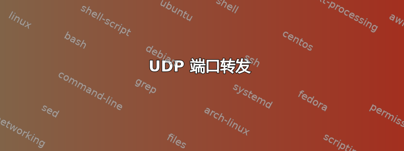 UDP 端口转发