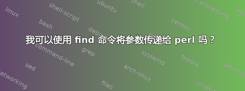 我可以使用 find 命令将参数传递给 perl 吗？