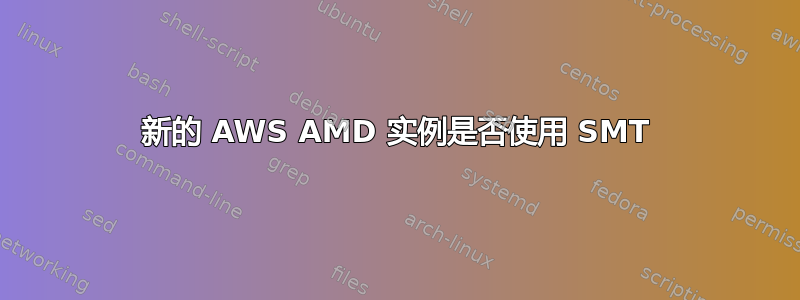 新的 AWS AMD 实例是否使用 SMT