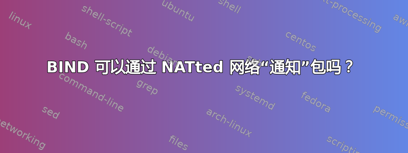 BIND 可以通过 NATted 网络“通知”包吗？