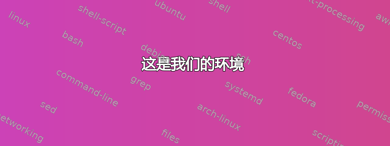 这是我们的环境