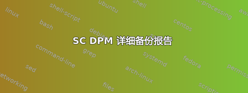 SC DPM 详细备份报告