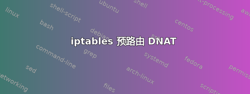 iptables 预路由 DNAT