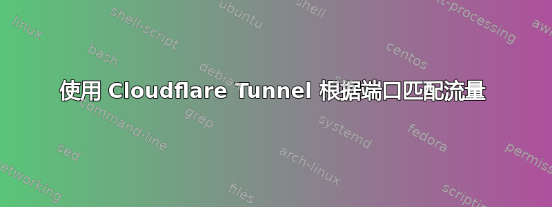 使用 Cloudflare Tunnel 根据端口匹配流量