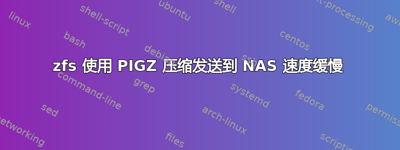 zfs 使用 PIGZ 压缩发送到 NAS 速度缓慢