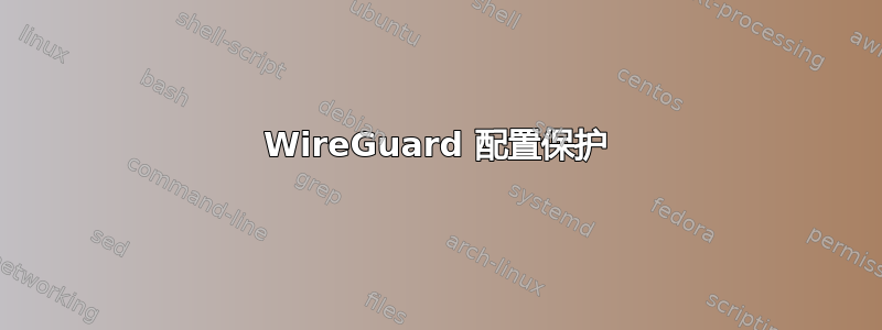 WireGuard 配置保护