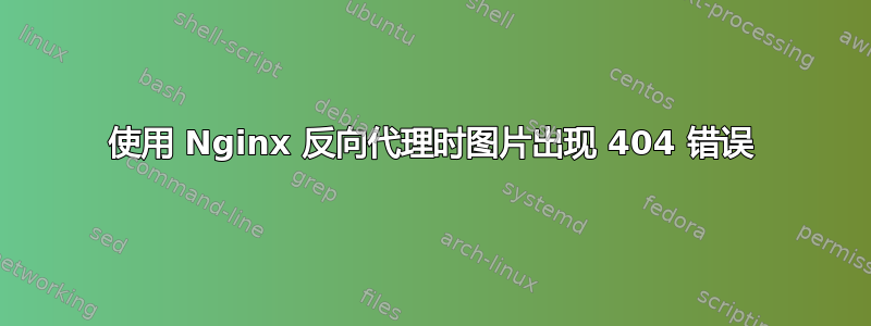 使用 Nginx 反向代理时图片出现 404 错误