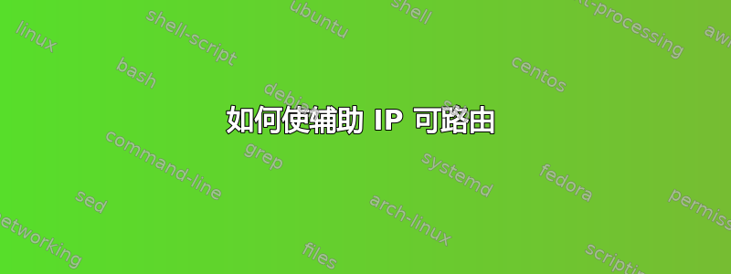 如何使辅助 IP 可路由