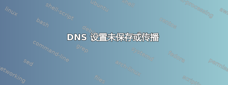 DNS 设置未保存或传播