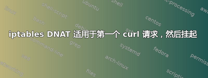 iptables DNAT 适用于第一个 curl 请求，然后挂起