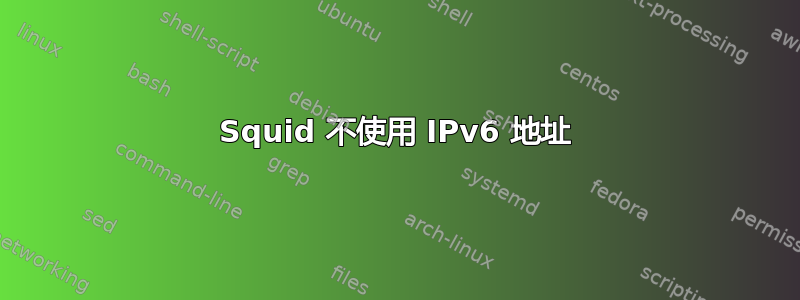 Squid 不使用 IPv6 地址